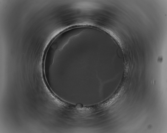 X0000100310943200806121037