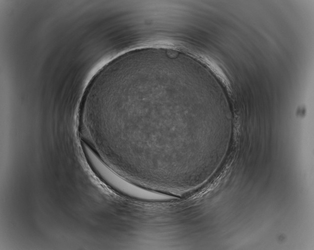 X0000100310944200806121037