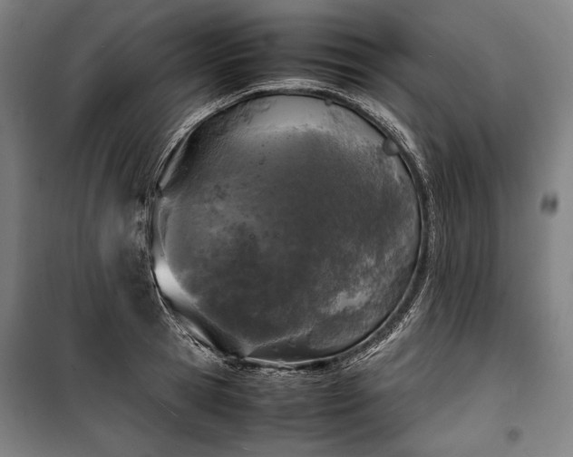X0000100310945200806121037