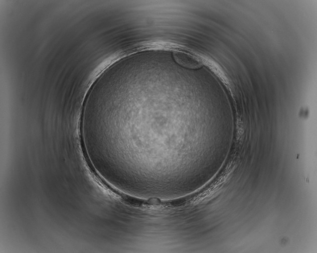X0000100310946200806121037