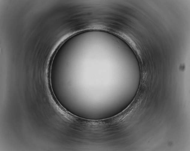 X0000100310947200806121037