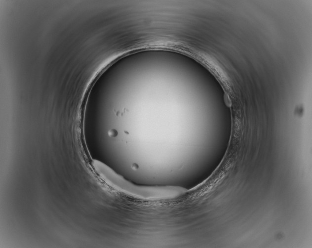 X0000100310948200806121037