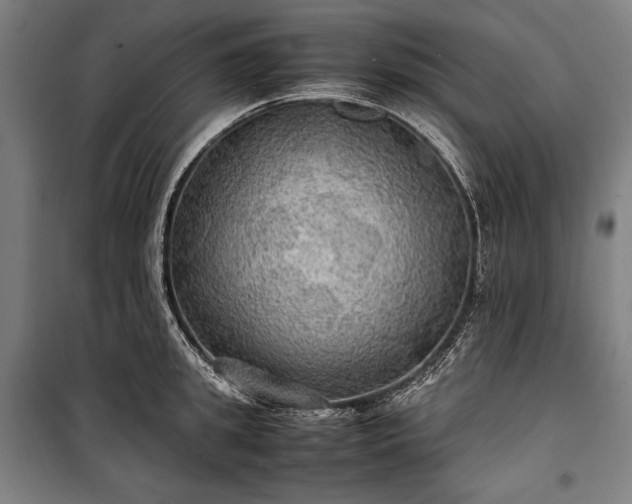 X0000100310949200806121037