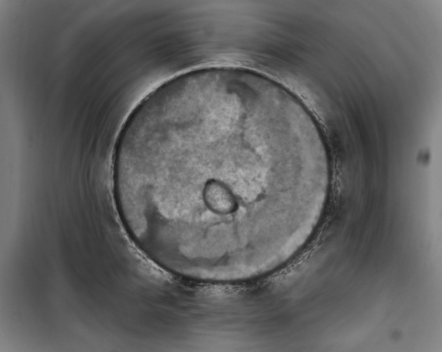 X0000100310950200806121037