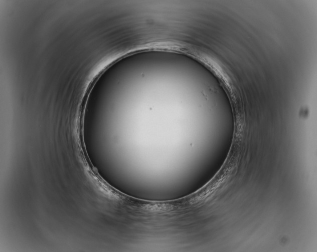 X0000100310952200806121037