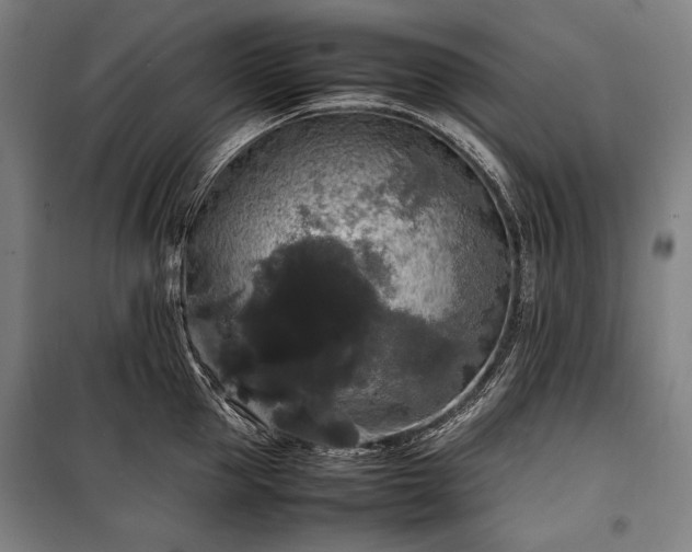 X0000100310953200806121037