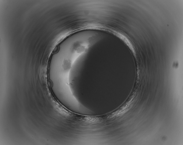 X0000100310954200806121037