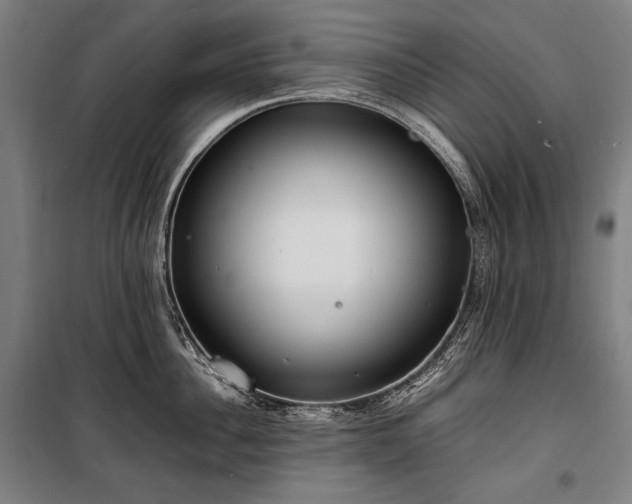 X0000100310956200806121037