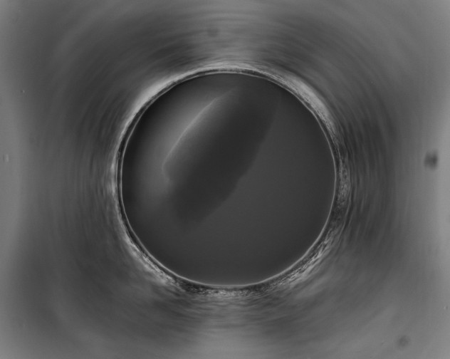 X0000100310958200806121037