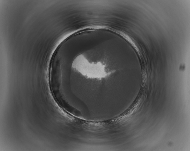 X0000100310959200806121038
