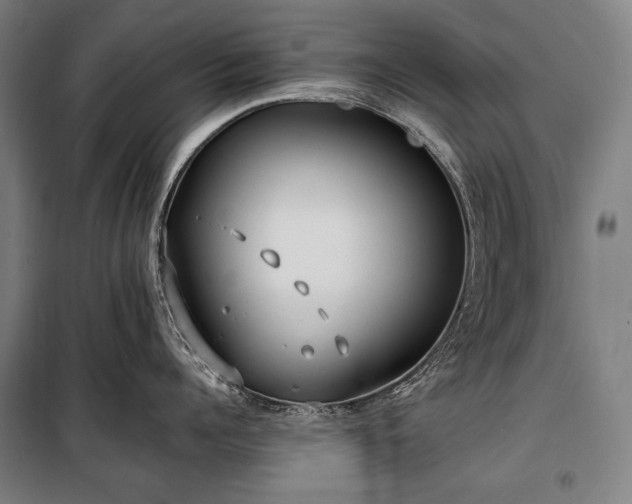 X0000100310960200806121038