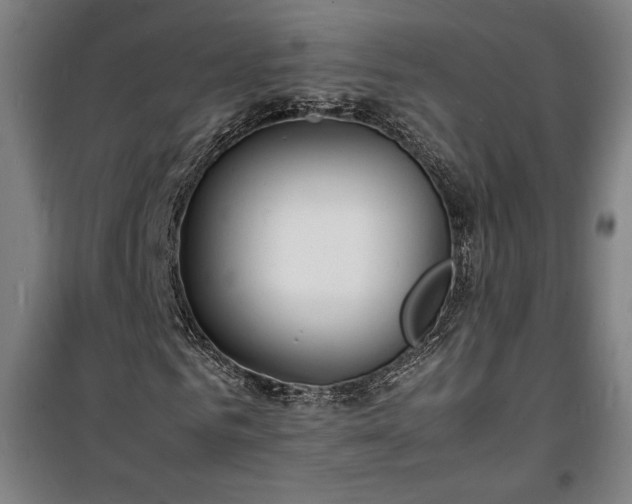 X0000100310961200806121037