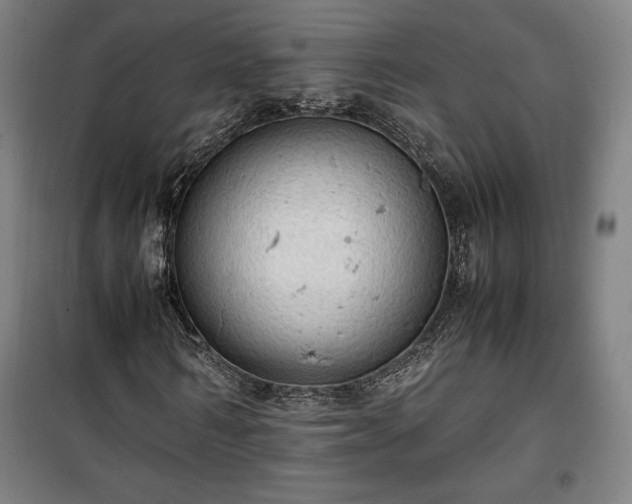 X0000100310962200806121037