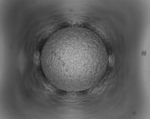 X0000100310963200806121037
