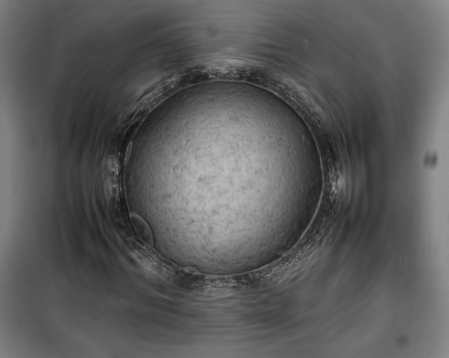 X0000100310964200806121037