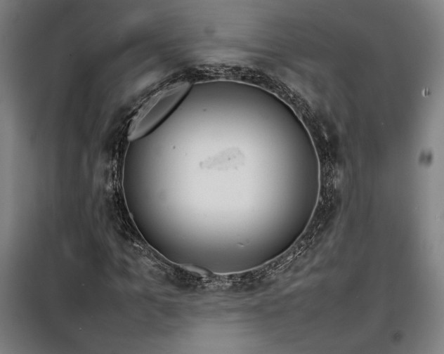 X0000100310965200806121037