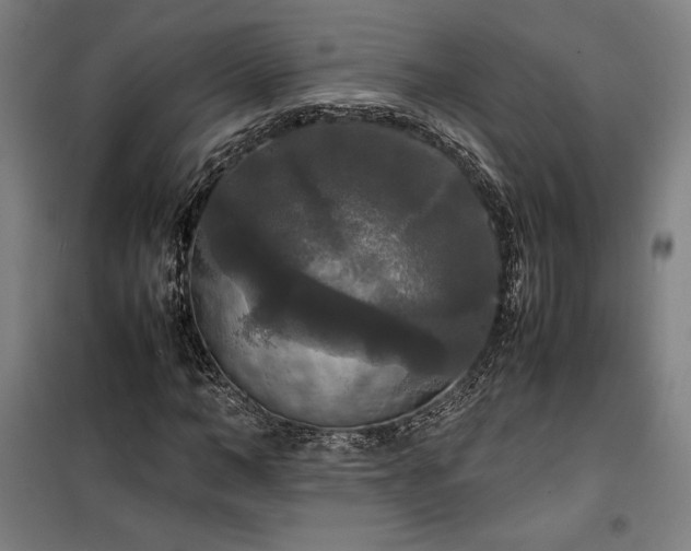 X0000100310966200806121037