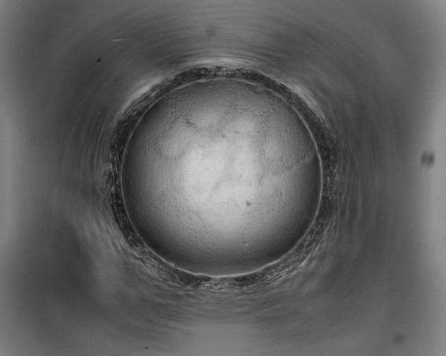 X0000100310967200806121037