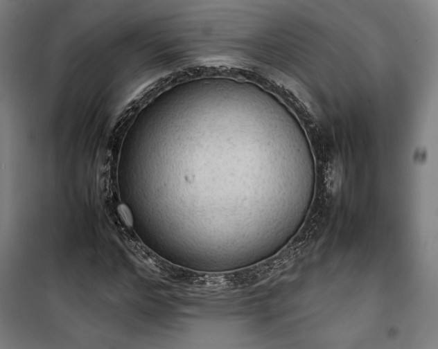 X0000100310968200806121037