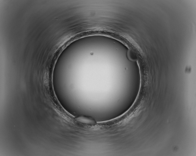 X0000100310969200806121037
