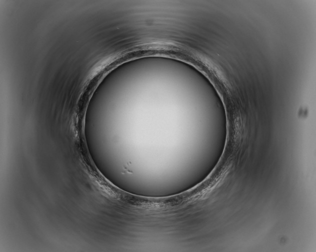 X0000100310970200806121037
