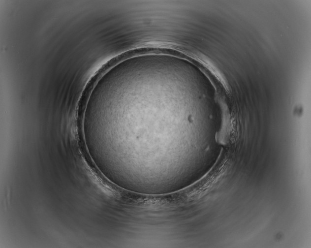 X0000100310972200806121037