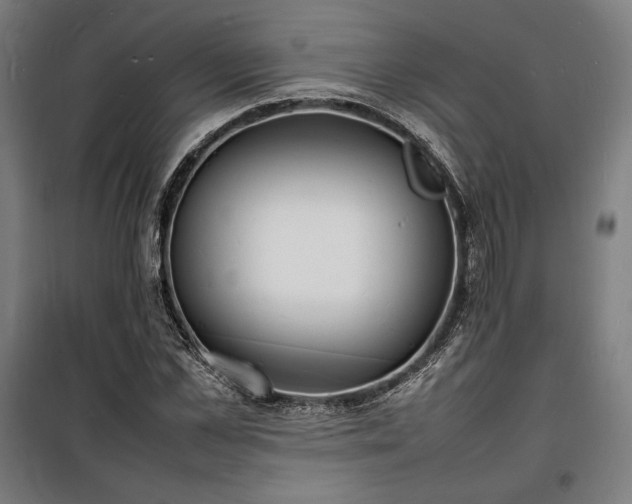X0000100310973200806121037