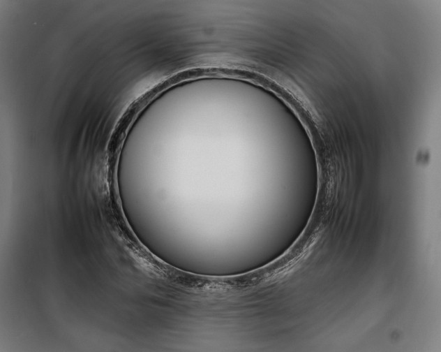 X0000100310974200806121036