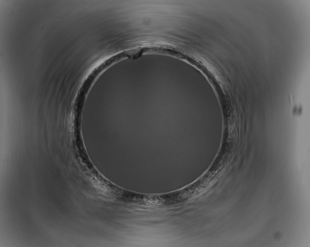 X0000100310975200806121036