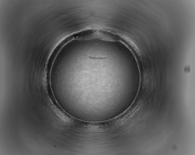 X0000100310976200806121036