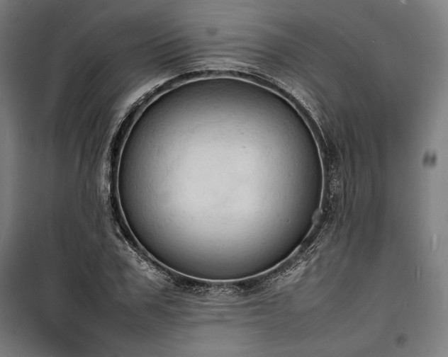 X0000100310979200806121036