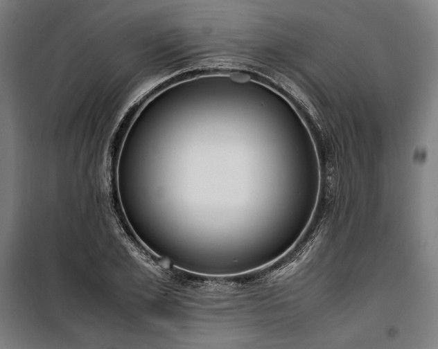 X0000100310981200806121036