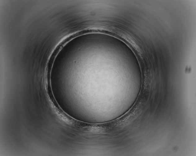 X0000100310984200806121036