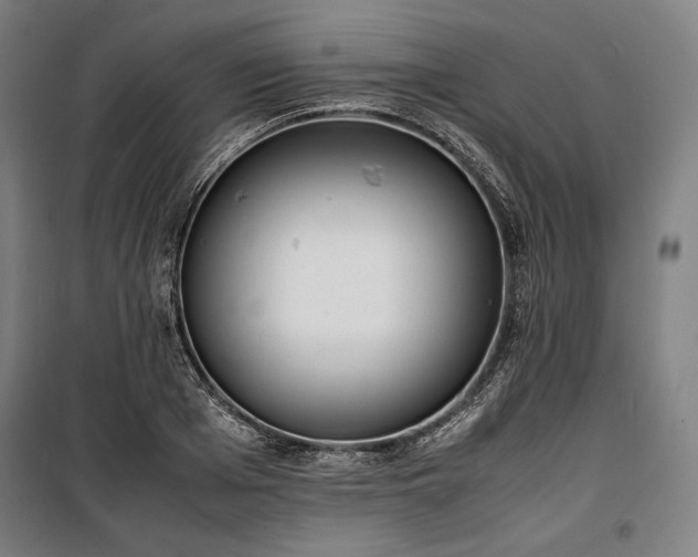 X0000100310985200806121036