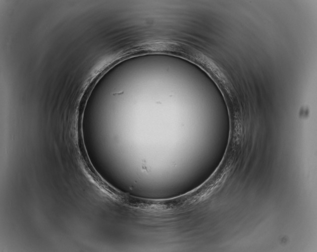 X0000100310986200806121036