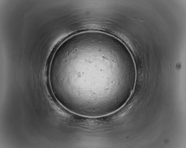 X0000100310987200806121036