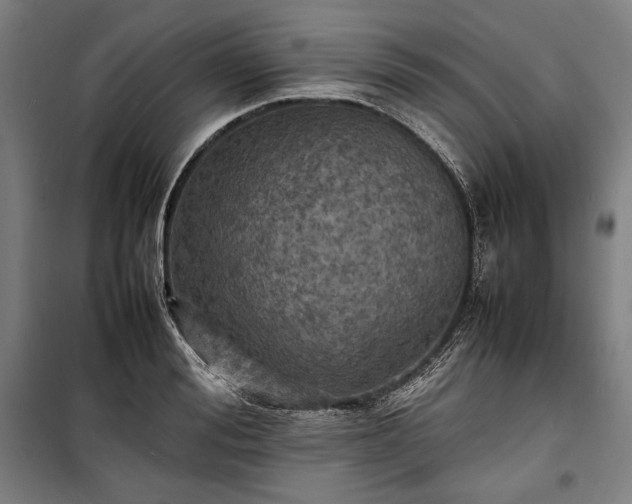 X0000100310988200806121036