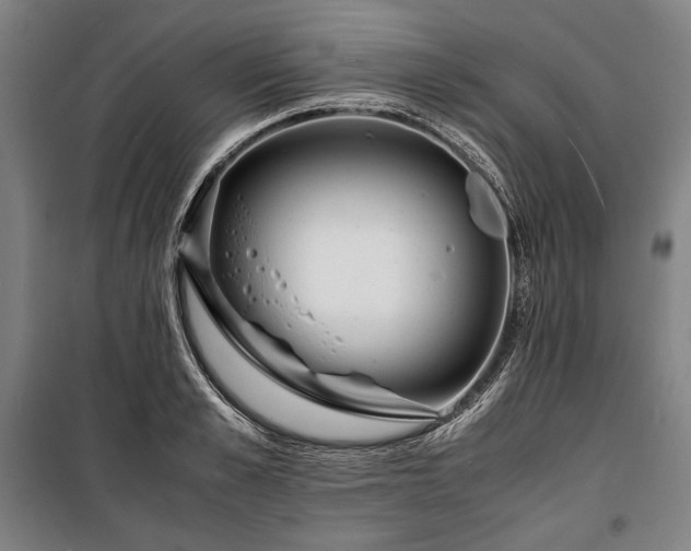 X0000100310989200806121036