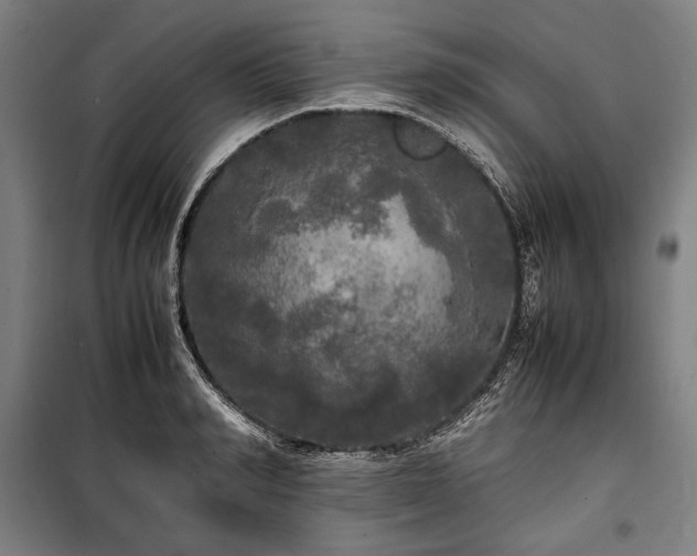 X0000100310990200806121036