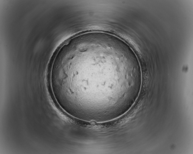 X0000100310991200806121036