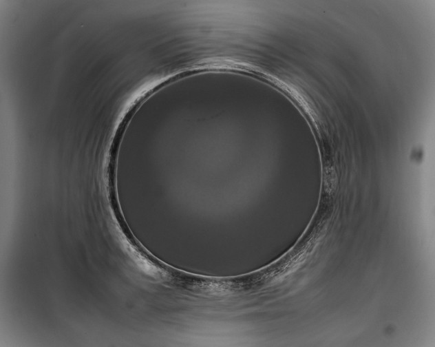 X0000100310995200806121036