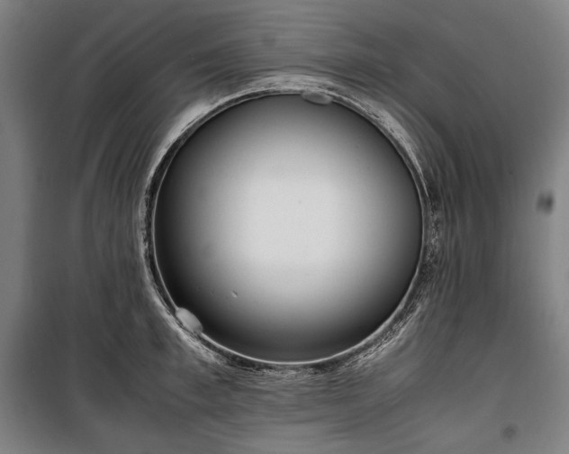 X0000100310997200806121036