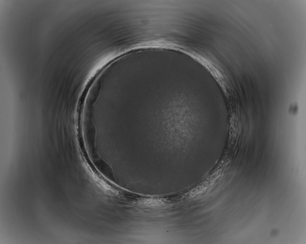X0000100310998200806121036