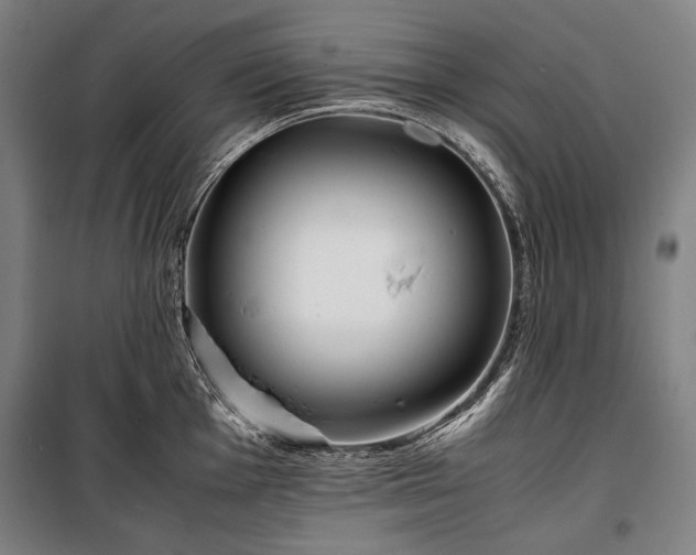 X0000100311001200806121036