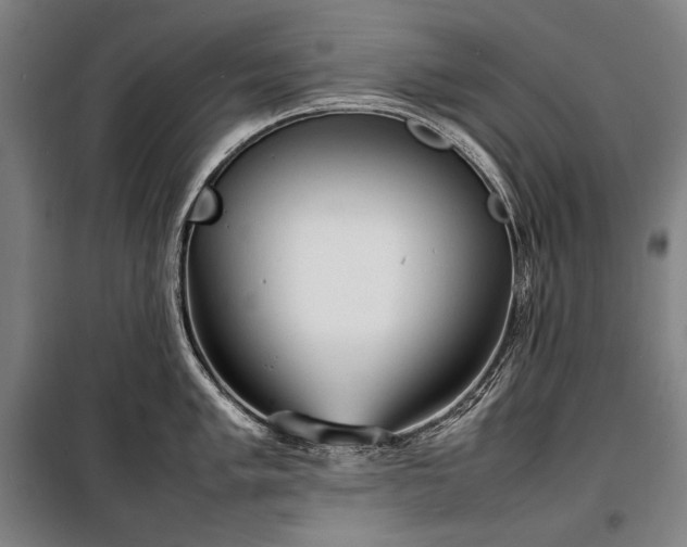 X0000100311005200806121036