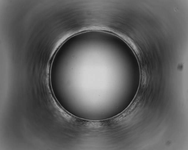 X0000100311006200806121036