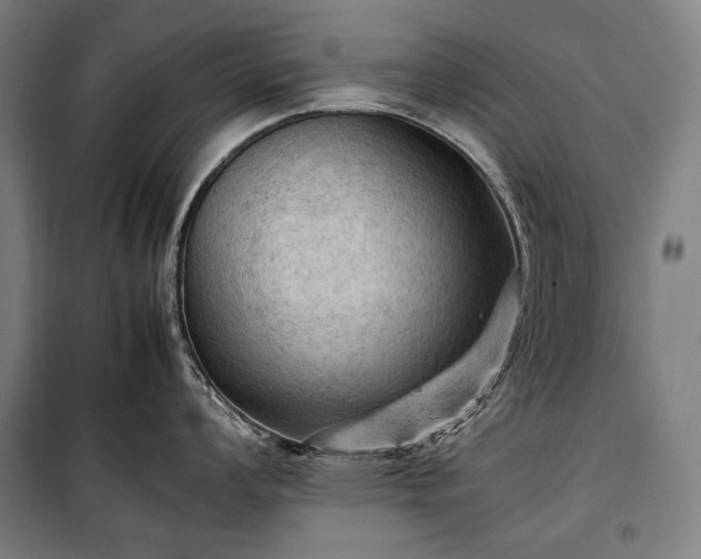 X0000100311008200806121036