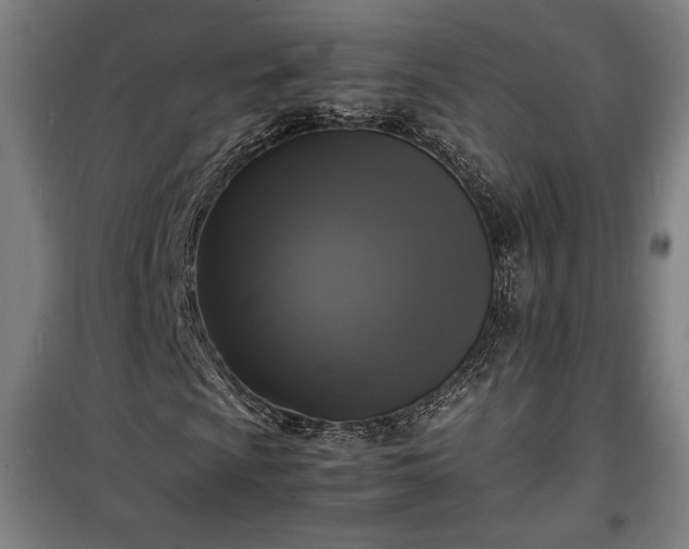 X0000100311009200806121035