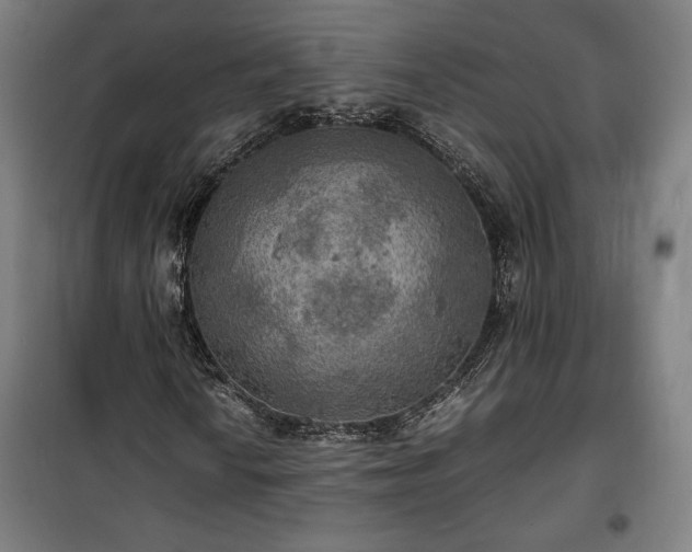 X0000100311010200806121035