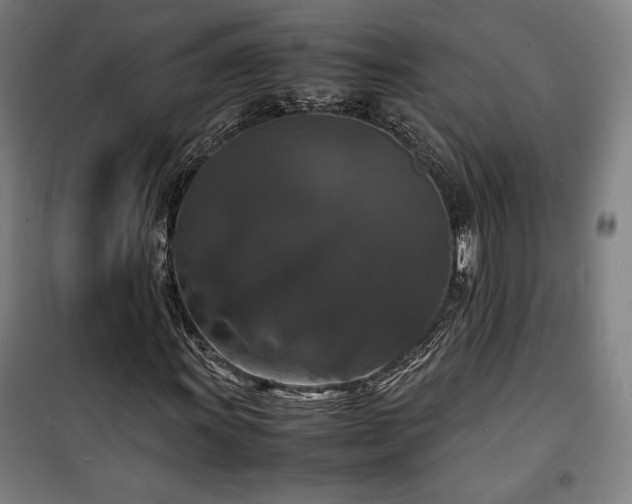 X0000100311011200806121035